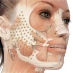 Hifu คืออะไร ช่วยอะไรบ้าง ? เปรียบเทียบ Hifu VS Thermage VS Ulthera ต่างกันอย่างไร ?