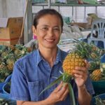 แปลงใหญ่บ้านบึงจ.ราชบุรีโชว์ไอเดียใช้ทุกส่วนสับปะรดแปลงรายได้