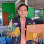 แปลงใหญ่บ้านบึงจ.ราชบุรีโชว์ไอเดียใช้ทุกส่วนสับปะรดแปลงรายได้
