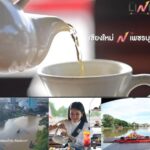 ททท. เปิด The LINK Local to Global โหมขายเที่ยวไทย15พื้นที่30เส้นทาง