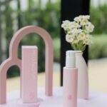 เปิดตัว “Mignoné” (มิญอเน่)