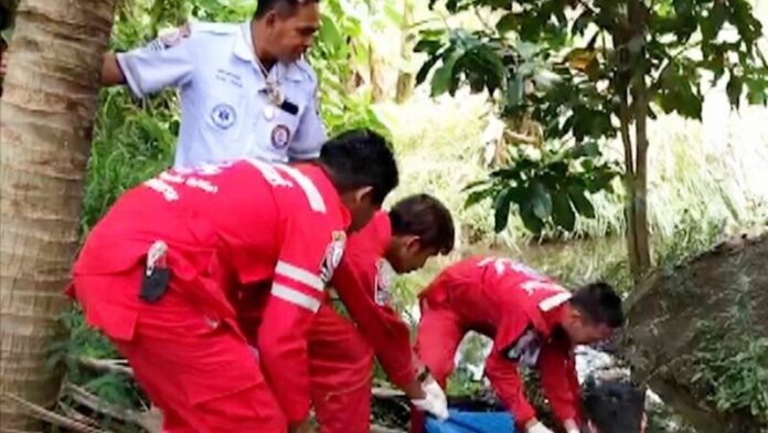 พ่อชรา
