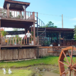 กระแสมาแรง มิติใหม่การท่องเที่ยว ขี่ม้าชมวิวเรือนจำหนองเรียง ประชาชนแห่สัมผัส