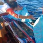 ครั้งที่ 3แล้ว ทัพเรือ ไล่ล่าเรือประมงเวียดนาม รุกล้ำน่านน้ำไทย ลอบจับปลา-ลักคราดปลิง