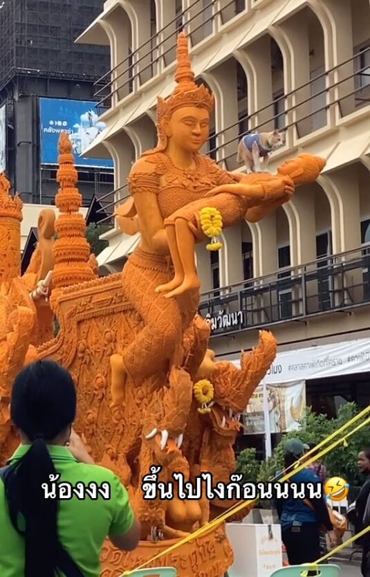 ภาพประกอบ