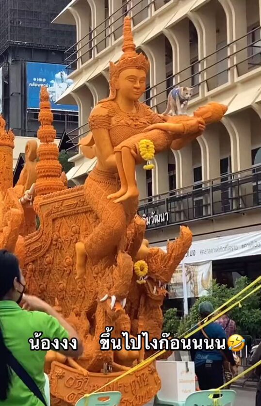 ภาพประกอบ