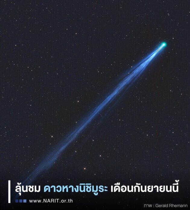 โผล่