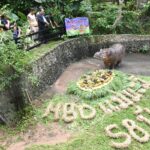 สวนสัตว์เปิดเขาเขียว ฉลองวันเกิด แม่มะลิ ครบ 58 ปี มีอายุยืนที่สุดในประเทศไทย
