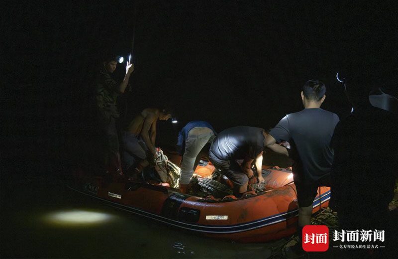 โล่งอก! เจ้าหน้าที่จีนจับ “จระเข้” หลุดฟาร์มช่วงน้ำท่วม-ยืนยันครบทั้งหมด 71 ตัว