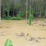 ชลประทาน เตือน ปชช. ฝนตกหนัก น้ำคลองเพิ่มสูง ระวัง น้ำท่วมฉับพลัน-น้ำป่าหลาก