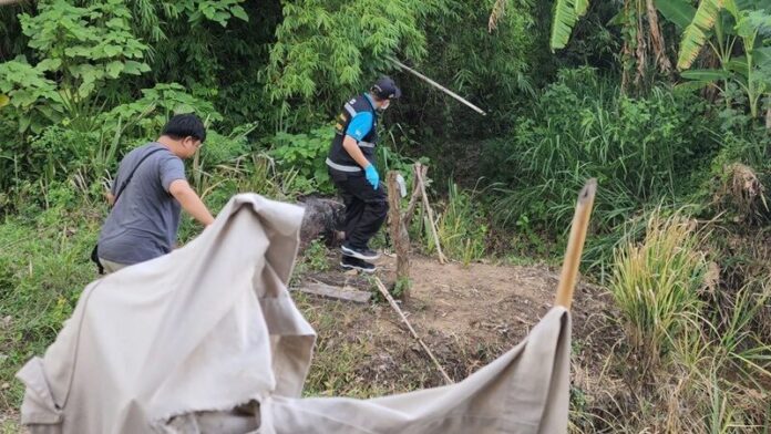 หลังบ้าน