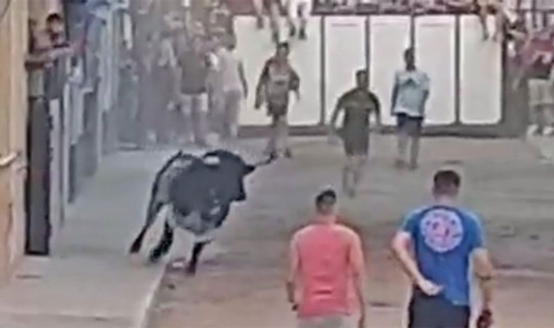 ชายชะตาขาดถูก “วัวกระทิงขวิดดับ” ระหว่างร่วมเทศกาลนองเลือดประจำปี