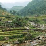 5 ทัวร์เวียดนาม ราคาประหยัด จาก Travelzeed