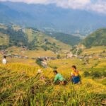 5 ทัวร์เวียดนาม ราคาประหยัด จาก Travelzeed