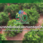 แผ่นเทียบสีสำหรับการเก็บเกี่ยวผลกาแฟเชอร์รีในระยะที่เหมาะสม