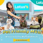 ทาสปลื้ม! โลตัส เปิดพื้นที่ Pet Friendly Mall นำร่อง 100 สาขาทั่วไทย
