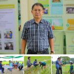 กรมการข้าว เร่งขับเคลื่อน โครงการส่งเสริมการเปลี่ยนเมล็ดพันธุ์ข้าว ปี 2566