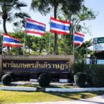 ซีพีเอฟ เดินหน้าส่งเสริมเกษตรยั่งยืน สู่ความสำเร็จ 