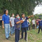 กรมวิชาการเกษตรยกระดับ กำจัดหนอนกระทู้ข้าวโพดลายจุด 