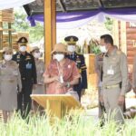 นิทรรศการ “งานวันลองกอง” ในงานของดีเมืองนรา ครั้งที่ 46 ประจำปี 2566