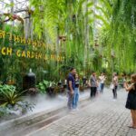 สวนนงนุชพัทยา ต่อโปรฯ ผู้สูงอายุลด 50% ตลอดกันยายน 2566