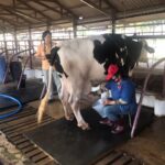 สศก. พร้อมขับเคลื่อนแผนยุทธศาสตร์กองทุน FTA ระยะ 5 ปี ดันเกษตรไทย 