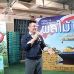 “ชาวสวนผลไม้” ปลื้ม “กล่องบรรจุผลไม้ DIT” เพิ่มยอดขายให้เกษตรกร