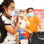 งาน “ชุมชนคนรักหมา 4 ขาหน้าเซเว่น ครั้งที่ 1”