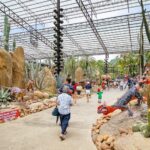 สวนนงนุชพัทยา ต่อโปรฯ ผู้สูงอายุลด 50% ตลอดกันยายน 2566