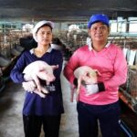 ซีพีเอฟ เดินหน้าส่งเสริมเกษตรยั่งยืน สู่ความสำเร็จ 