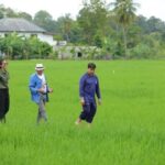 กรมการข้าวเร่งเดินหน้าโครงการส่งเสริมการเปลี่ยนเมล็ดพันธุ์ข้าวปี 2566