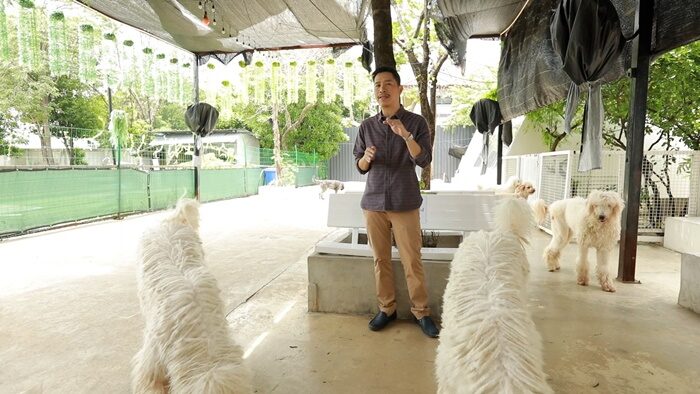 ดอกแค ท็อปไลน์