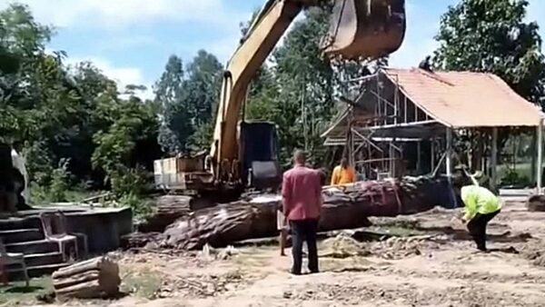 ต้นตะเคียนยักษ์ 100 ปี โผล่กลางลำห้วยคล้า ทำยังไงก็เอาขึ้นมาไม่ได้ ก่อนประกอบพิธีอัญเชิญนำขึ้นมาได้สำเร็จ