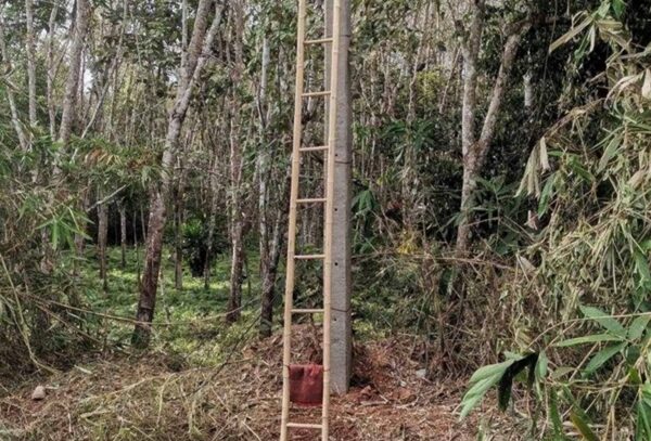 สลด พนักงาน 3BB เหยียบระเบิด ขาซ้ายขาด บาดเจ็บสาหัส ก่อนเสียชีวิตลงแล้วที่โรงพยาบาลยะลา