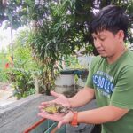 ส่องเลขบ้านหนุ่มโคราช เลี้ยงกบสีทอง 6 ขา อีกตัวสุดจัดมี 8 ขา เจ้าของปลื้มถูกหวยทั้งปี