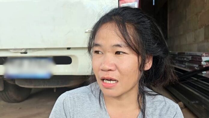 เมียหนุ่ม