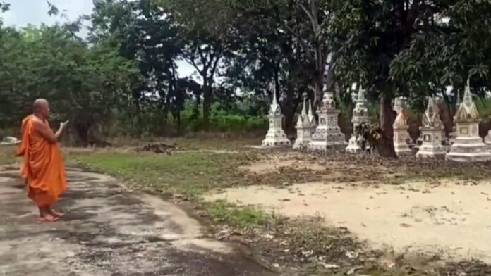 ผี