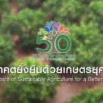 นักวิจัยดีเด่นรุ่นเยาว์ ประจำปี พ.ศ. 2566