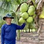 เครือซีพี ช่วยเกษตรกรขอนแก่น ส่งเสริมปลูกมะพร้าวน้ำหอม
