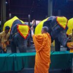 สวนนงนุช น้อมรำลึกในวันนวมินทรมหาราช  นำช้าง 9 เชือก ร่วมทำบุญตักบาตร 