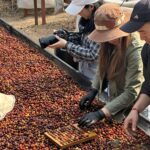กรมวิชาการเกษตรดันนวัตกรรมหมักกาแฟอะราบิกาต่อยอดธุรกิจชีวภาพ