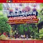 สวนนงนุช ต้อนรับฑูตสวิตเซอร์แลนด์นำปลูกต้นไม้ พร้อมจัดโปรโมชั่นเที่ยวรับปิดเทอม
