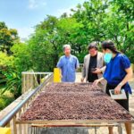 กรมวิชาการเกษตรดันนวัตกรรมหมักกาแฟอะราบิกาต่อยอดธุรกิจชีวภาพ