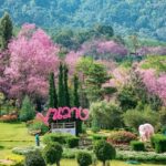 กรมวิชาการเกษตร เปิด 25 แหล่งท่องเที่ยวเชิงเกษตร ทั่วไทย