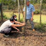 “กรมวิชาการเกษตร” แนะขึ้นทะเบียนปลูกไม้ต้นบัญชีไซเตสเพื่อการส่งออก