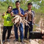 กรมวิชาการเกษตร หนุน “พืชไร่” สู่เกษตรอินทรีย์ สร้างความยั่งยืน