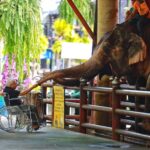 สวนนงนุช ขยายโปรฯ ผู้สูงอายุเข้าฟรีทุกวันศุกร์ พร้อมลด 50% ตลอดเดือน พ.ย.นี้