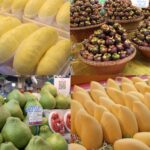 อ.ต.ก. สร้างมาตรฐานการันตีสินค้าเกษตรคุณภาพสูง ORTORKOR SELECT