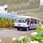 สวนนงนุช ขยายโปรฯ ผู้สูงอายุเข้าฟรีทุกวันศุกร์ พร้อมลด 50% ตลอดเดือน พ.ย.นี้