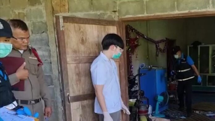 ฆ่าแม่